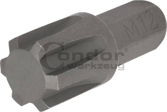 Ribe-Profile BitsBit, 8 mm hex, ribe-profile M12x30 mm