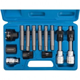 Signet13pc Alternator Bit Set