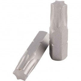 Trident5/16 Hex Bit Tx40