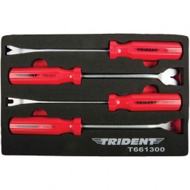 TridentTrim Clip Tool Set 4pc